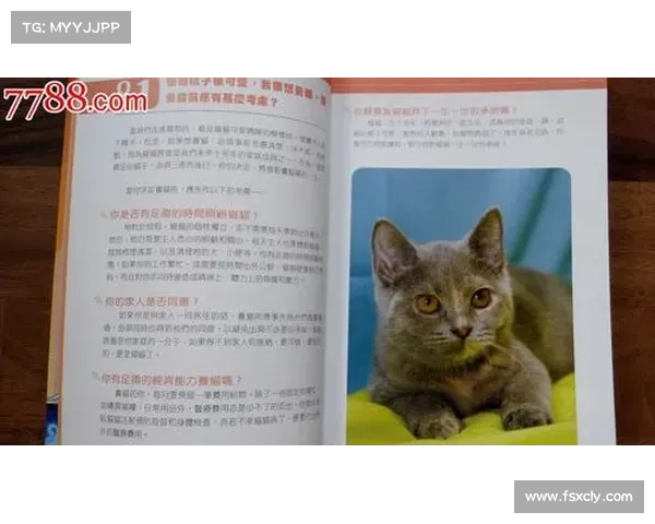 如何策划一场完美的寻宝冒险之旅从准备到执行的全方位指南 如何策划一场完美的寻宝冒险之旅从准备到执行的全方位指南